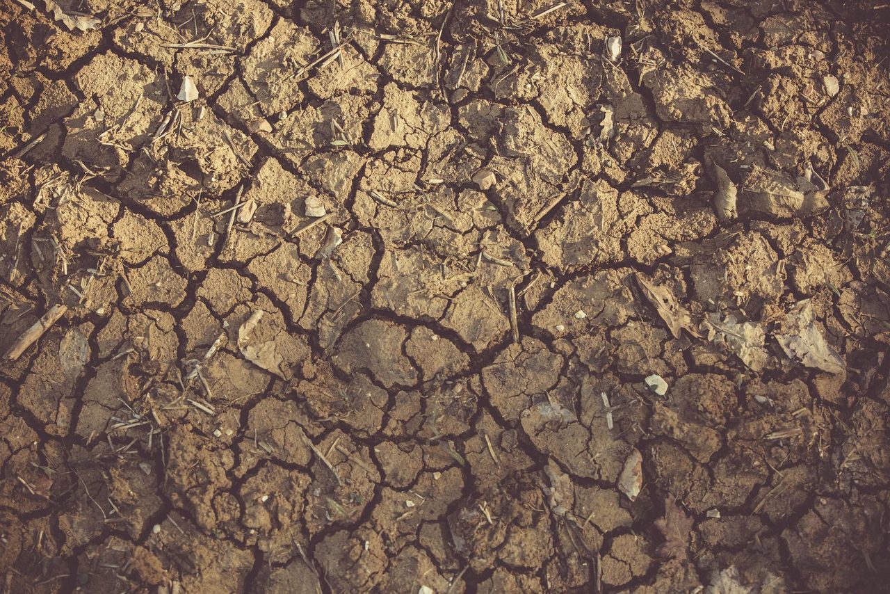 Cracked dry ground during drought conditions that prime landscapes to burn