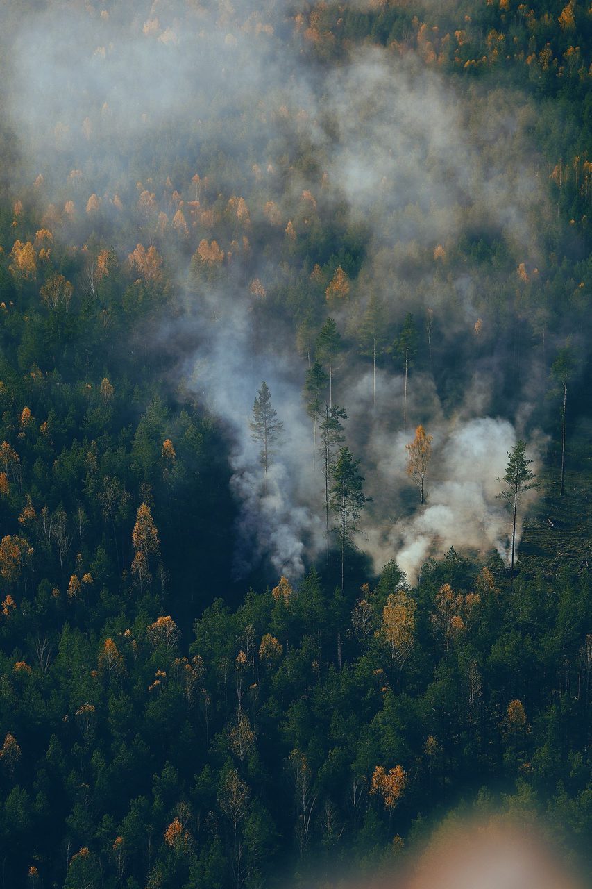 Thick smoke rises from a forest — the scale of Europe's wildfire season.